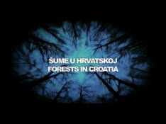 Ante Gugo
Šume u Hrvatskoj
2010
