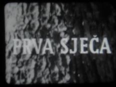 Krešo Golik
PRVA SJEČA
1953