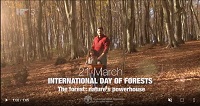 The forest: natures powerhouse
2017